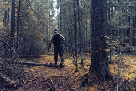 Купить диплом Егеря, лесника в Краснодаре