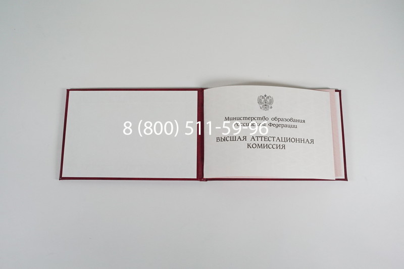 Диплом доктора наук 1995-2006 года в Краснодаре Диплом доктора наук 1995-2006 года в Краснодаре